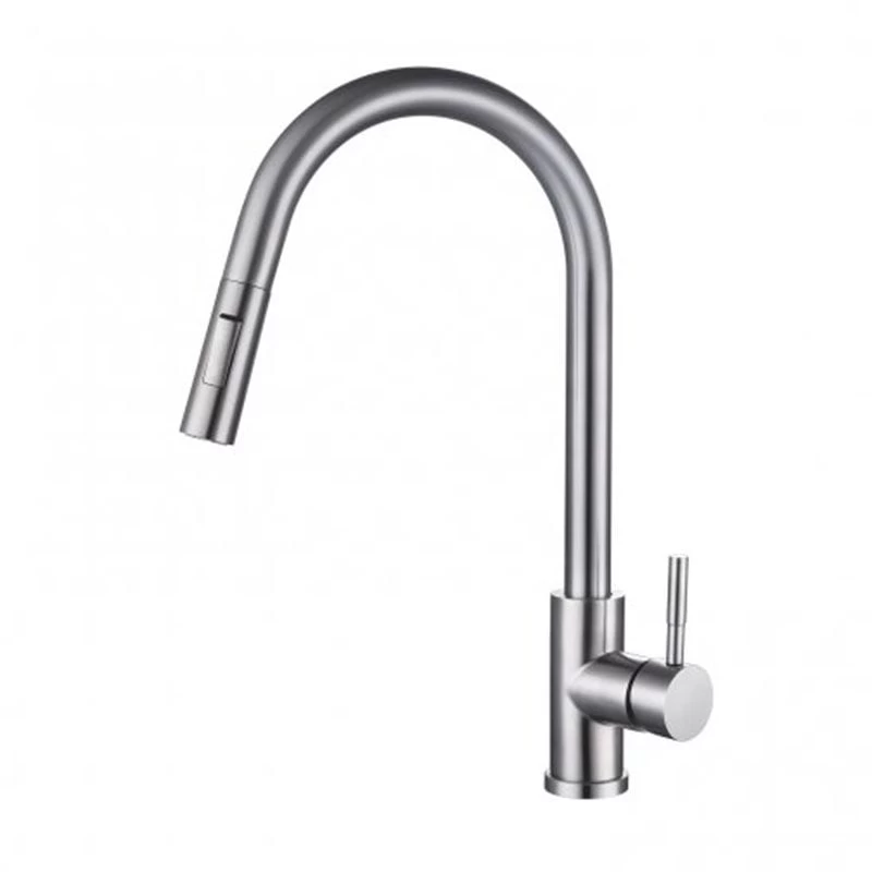 RAK Ceramics Prague One Touch Pull Out Kitchen Sink Mixer - Silver - RAKKIT017
